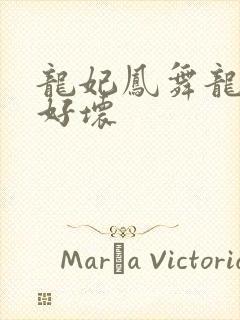 龙妃凤舞龙王你好坏