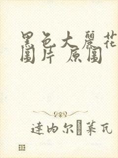 黑色大丽花真实图片 原图