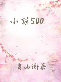 小说500