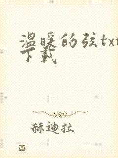 温暖的弦txt下载