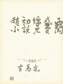 赵初绵盛西舫的小说免费阅读
