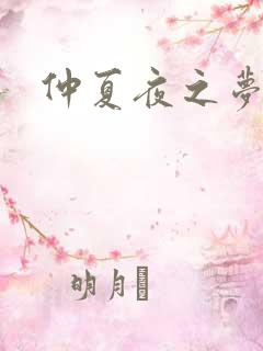 仲夏夜之梦小说
