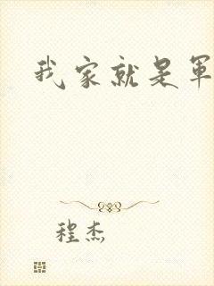 我家就是军火铺