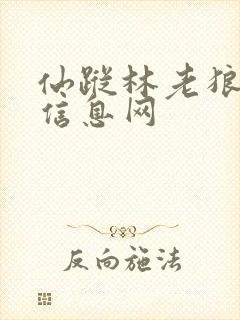 仙踪林老狼贰佰信息网