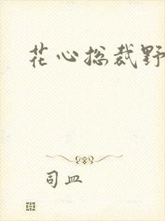 花心总裁野蛮妻