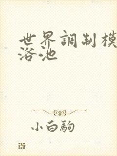 世界调制模式女浴池