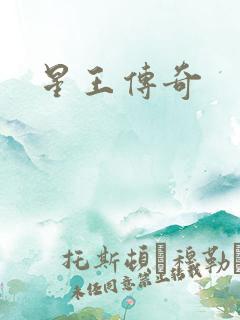 星王传奇