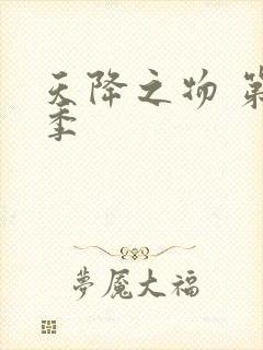 天降之物 第一季