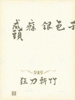 成瘾 银色子弹头