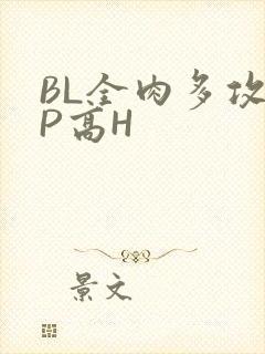 BL全肉多攻NP高H
