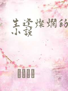 生逢灿烂的日子小说