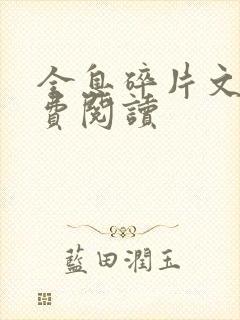 全息碎片文轩免费阅读