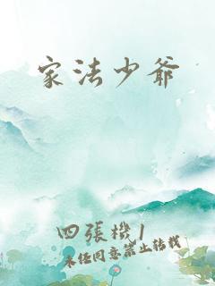 家法少爷