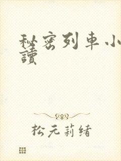 秘密列车小说阅读