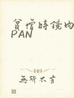 贫僧时镜肉补全PAN