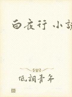 白夜行 小说