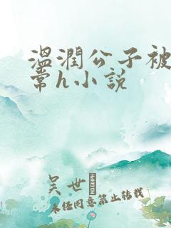 温润公子被脔日常h小说