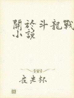 关于斗龙战士的小说