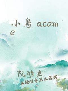 小鸟 acome