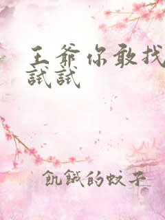 王爷你敢找小三试试