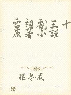 电视剧三十而已原著小说