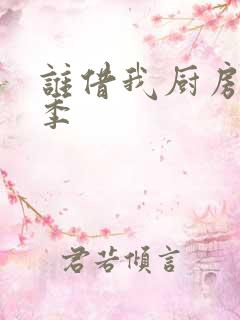 谁借我厨房第三季