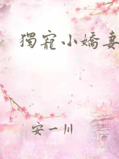 独宠小娇妻