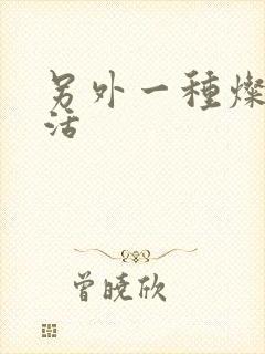 另外一种灿烂生活