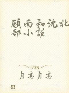 顾南和沈北是哪部小说