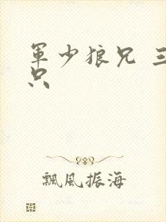 军少狼兄 三两只