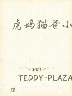 虎妈猫爸小说