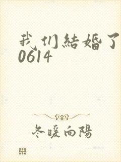 我们结婚了130614