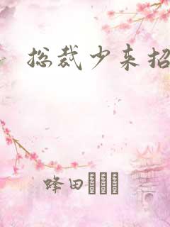 总裁少来招惹我