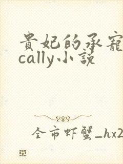 贵妃的承宠日常cally小说