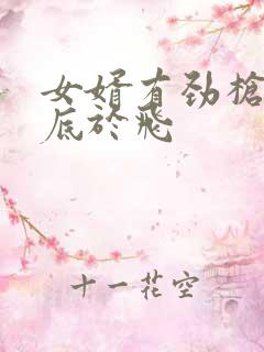 女婿有劲枪枪到底于飞