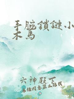 手腕锁链小黑屋木马