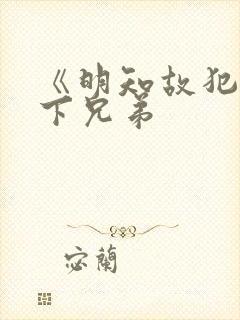 《明知故犯》年下兄弟