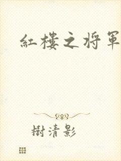 红楼之将军