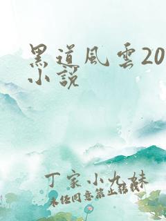 黑道风云20年小说