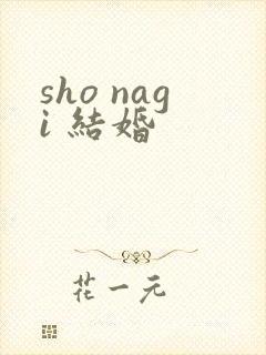 sho nagi 结婚