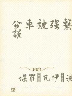 公车被强系列小说