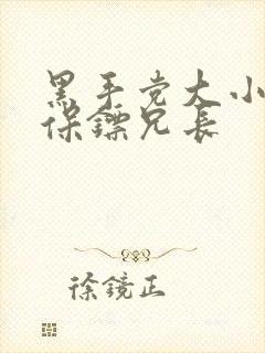 黑手党大小姐和保镖兄长