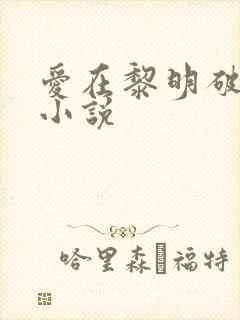 爱在黎明破晓前小说