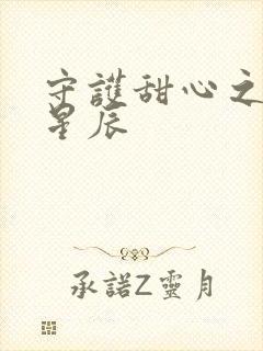 守护甜心之暗夜星辰