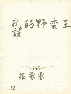 我的野蛮王妃小说