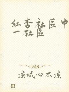 红杏社区中文第一社区