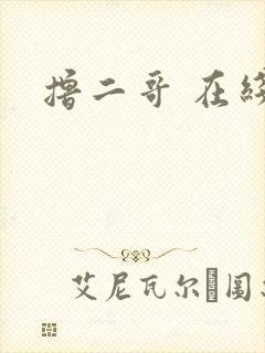 撸二哥 在线