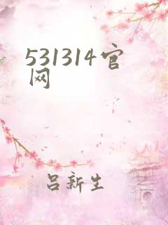 531314官网