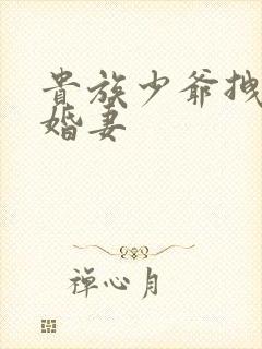 贵族少爷拽拽未婚妻