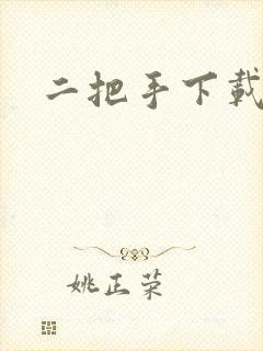 二把手下载